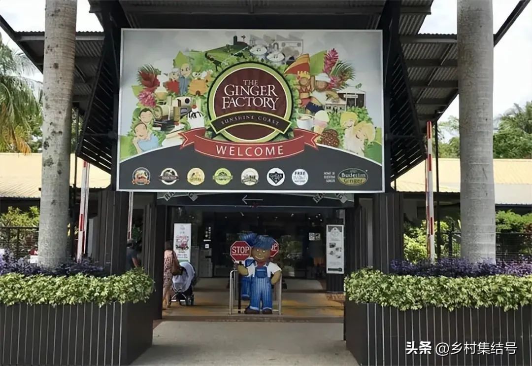 這個“生姜”農業主題樂園,為何游客不止?有三點借鑒與思考 這個“生姜”農業主題樂園,為何游客不止?有三點借鑒與思考