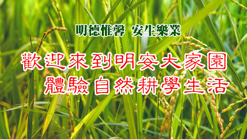 2024.7月8月浙江仙居 ☆原始點健康生活體驗營 培訓班 鄉野自然生態健康營 +☆兒童青少年國學耕讀夏令營-原始點全球同學網