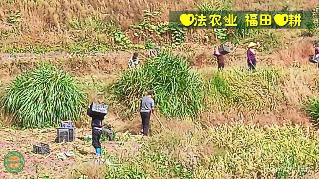 2024年4月春暖花開！春耕優惠“卷”