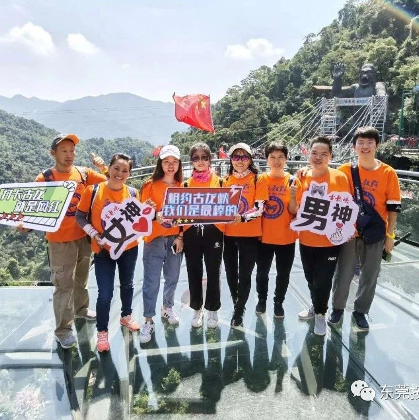 皮膚過敏，痔瘡-七不姜 生姜養生網-明德CSA生態姜園&明安農業