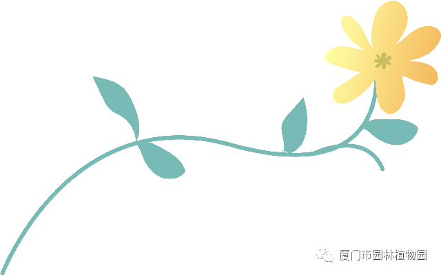 “橙汁”是花不是飲料，旱地里長出蓮花...植物園這個園子太神奇了！