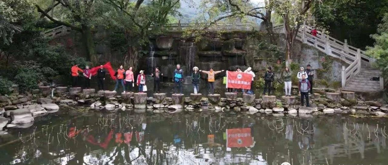 88歲老婆婆腦鳴、頭暈、眼花-七不姜 生姜養生網-明德CSA生態姜園&明安農業