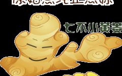 七不小黃姜 微店買姜 春耕優惠劵!五一勞動節優惠...-七不姜 生姜養生網-明德CSA生態姜園&明安農業