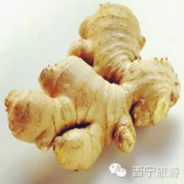 天冷！？不怕，青海人有“姜拌湯”-七不姜 生姜養生網-明德CSA生態姜園&明安農業
