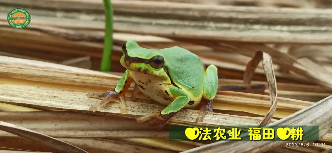 2024年4月春暖花開！春耕優惠“卷”