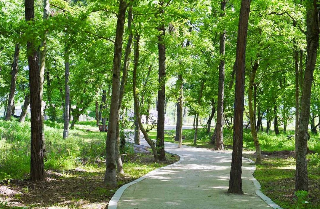 仙居仙景 | 想你的風還是吹到了仙居，“爾濱”老鐵們！看仙居給咱整點啥→