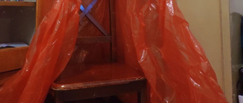 原始點調理糖尿病案例 合肥原始點志愿者 宋廷華 實操 2020.6.4-七不姜 生姜養生網-明德CSA生態姜園&明安農業