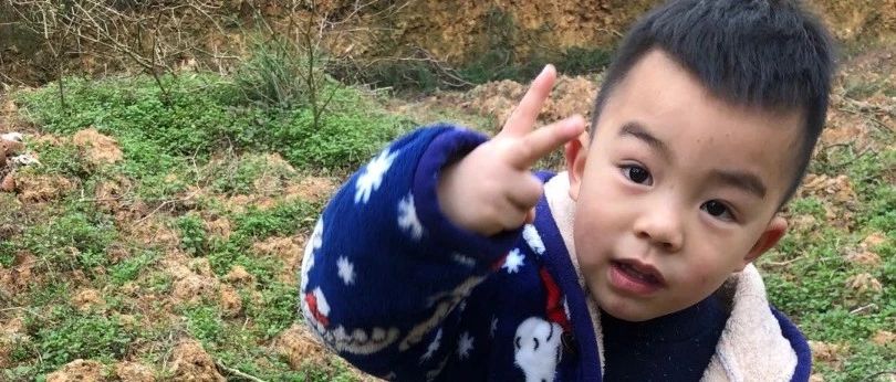 案例分享：原始點調理小孩突發高燒案例-七不姜 生姜養生網-明德CSA生態姜園&明安農業