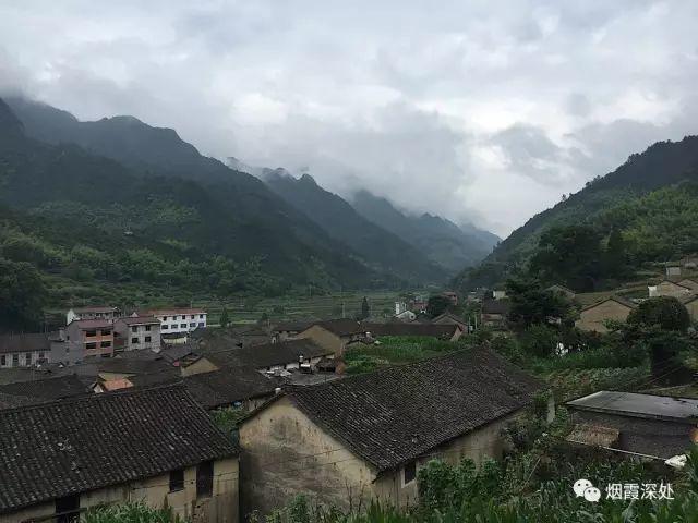 傳統村落--溪港鄉仁莊村（古村行013）- 秀美仙居 慈孝仁莊 明德生態姜園“七不”良心小黃姜發源地
