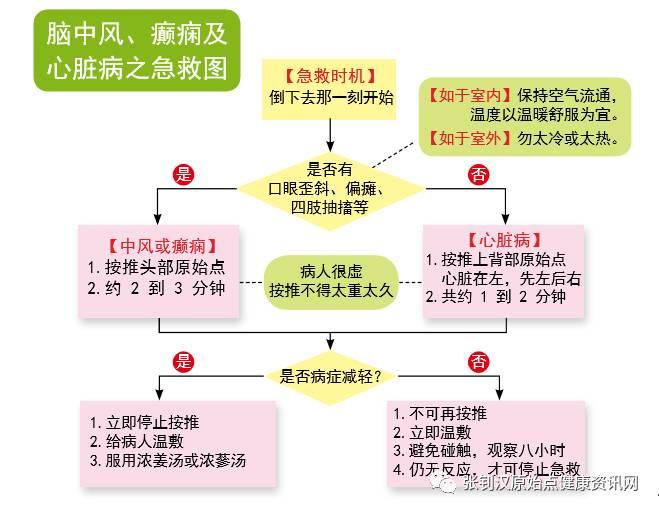 最新原始點急救方法-七不姜 生姜養生網-明德CSA生態姜園&明安農業