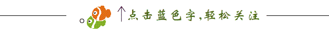 港澳臺、新馬泰原始點交流活動
