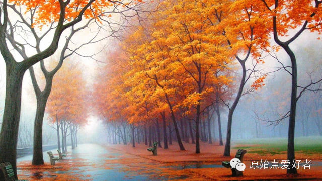 癌末患者到原始點義工之路-七不姜 生姜養生網-明德CSA生態姜園&明安農業