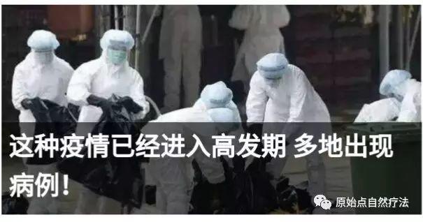 基金會視頻：原始點有沒有在治細菌病毒如艾博拉, 艾滋, SARS, H7N9...?-七不姜 生姜養生網-明德CSA生態姜園&明安農業
