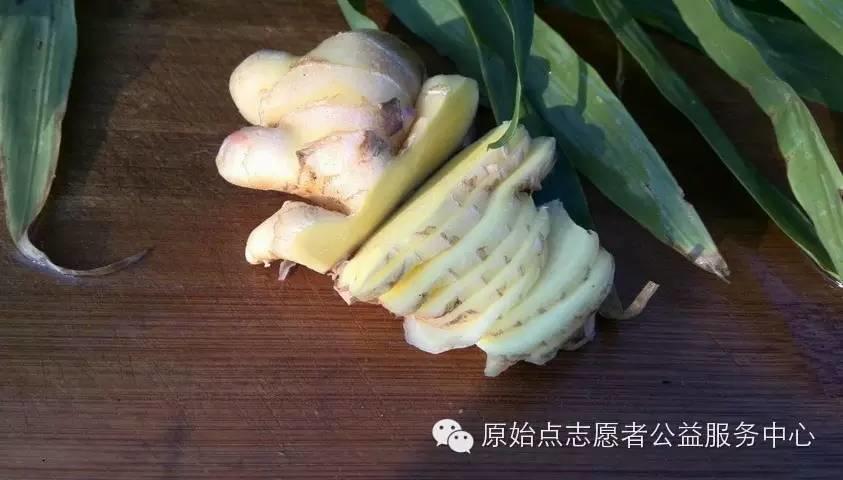 原始點姜的應用-七不姜 生姜養生網-明德CSA生態姜園&明安農業