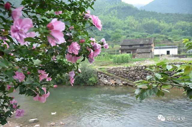 傳統村落--溪港鄉仁莊村（古村行013）- 秀美仙居 慈孝仁莊 明德生態姜園“七不”良心小黃姜發源地