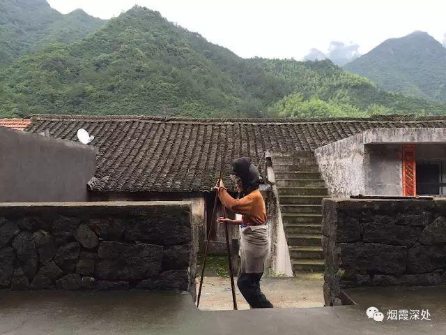 傳統村落--溪港鄉仁莊村（古村行013）- 秀美仙居 慈孝仁莊 明德生態姜園“七不”良心小黃姜發源地