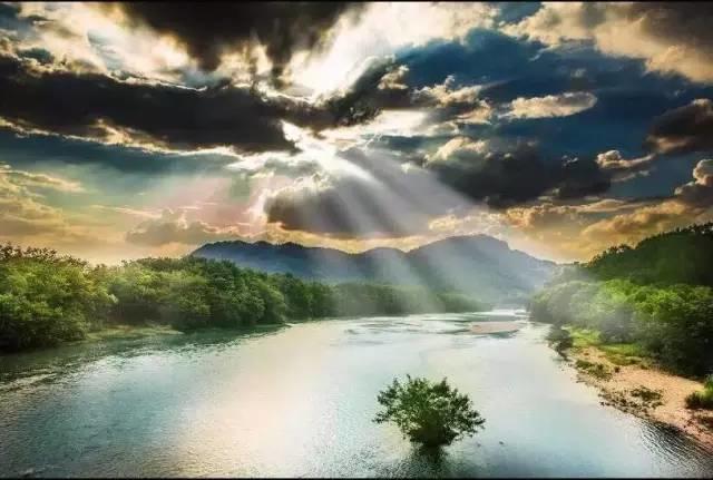 仙居還有這樣的風景!你有沒有去過？- 秀美仙居 慈孝仁莊 明德生態姜園“七不”良心小黃姜發源地