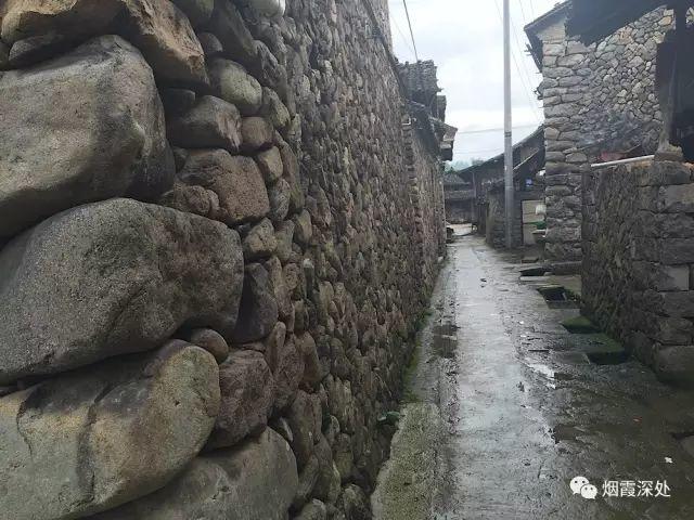 傳統村落--溪港鄉仁莊村（古村行013）- 秀美仙居 慈孝仁莊 明德生態姜園“七不”良心小黃姜發源地