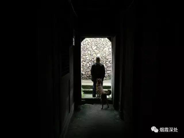 傳統村落--溪港鄉仁莊村（古村行013）- 秀美仙居 慈孝仁莊 明德生態姜園“七不”良心小黃姜發源地