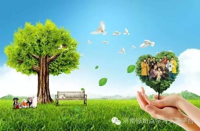 原始點案例：白癜風-七不姜 生姜養生網-明德CSA生態姜園&明安農業