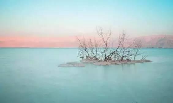 仙居還有這樣的風景!你有沒有去過？- 秀美仙居 慈孝仁莊 明德生態姜園“七不”良心小黃姜發源地