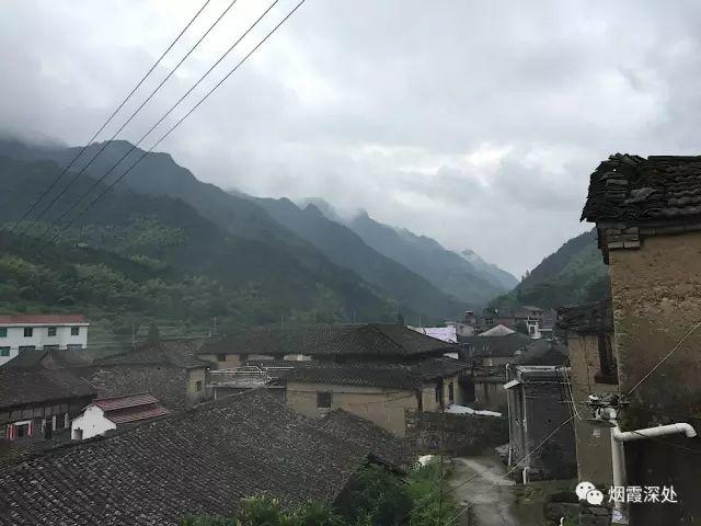 傳統村落--溪港鄉仁莊村（古村行013）- 秀美仙居 慈孝仁莊 明德生態姜園“七不”良心小黃姜發源地