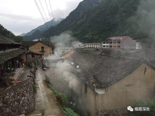傳統村落--溪港鄉仁莊村（古村行013）- 秀美仙居 慈孝仁莊 明德生態姜園“七不”良心小黃姜發源地