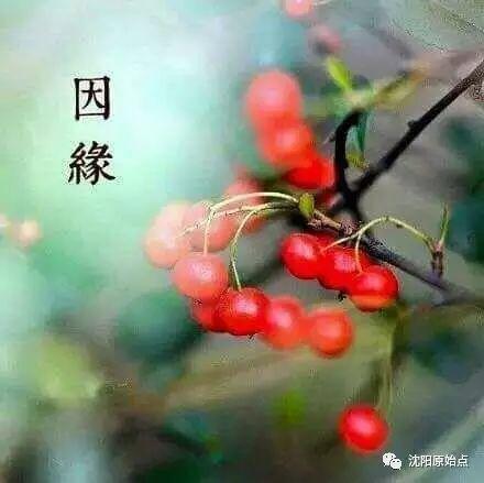 港澳臺、新馬泰原始點交流活動-七不姜 生姜養生網-明德CSA生態姜園&明安農業