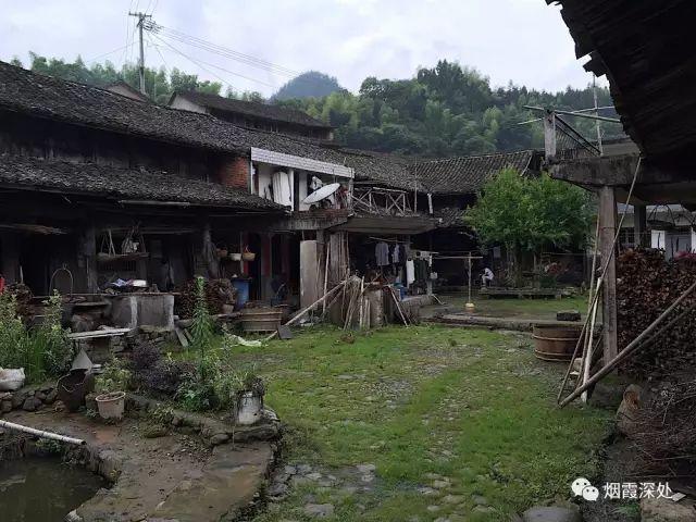 傳統村落--溪港鄉仁莊村（古村行013）- 秀美仙居 慈孝仁莊 明德生態姜園“七不”良心小黃姜發源地