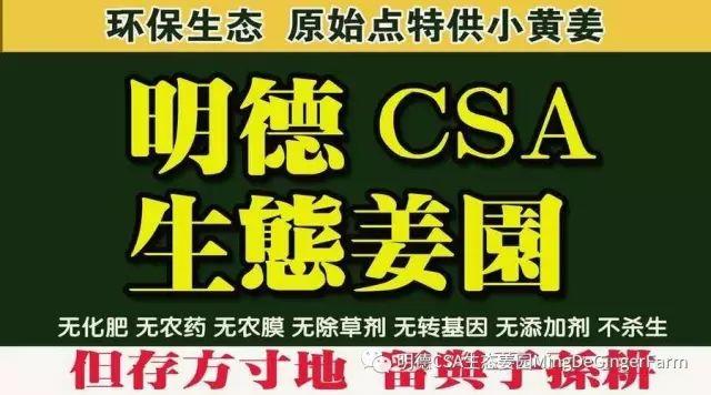 傳統村落--溪港鄉仁莊村（古村行013）- 秀美仙居 慈孝仁莊 明德生態姜園“七不”良心小黃姜發源地