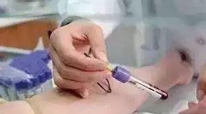 白血病大揭密-七不姜 生姜養生網-明德CSA生態姜園&明安農業