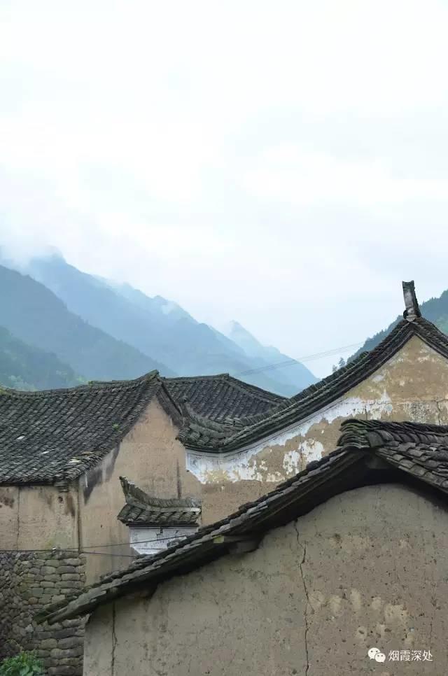 傳統村落--溪港鄉仁莊村（古村行013）- 秀美仙居 慈孝仁莊 明德生態姜園“七不”良心小黃姜發源地