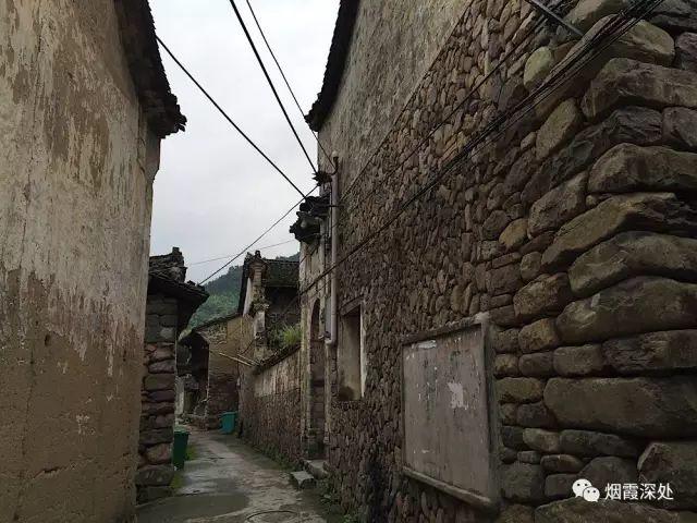 傳統村落--溪港鄉仁莊村（古村行013）- 秀美仙居 慈孝仁莊 明德生態姜園“七不”良心小黃姜發源地