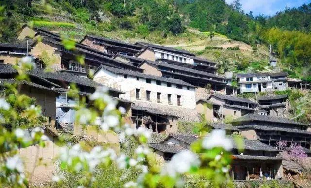 仙居居然把“西藏”私藏了，還有布達拉宮，就在家門口！- 秀美仙居 慈孝仁莊 明德生態姜園“七不”良心小黃姜發源地-七不姜 生姜養生網-明德CSA生態姜園&明安農業