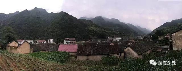 傳統村落--溪港鄉仁莊村（古村行013）- 秀美仙居 慈孝仁莊 明德生態姜園“七不”良心小黃姜發源地