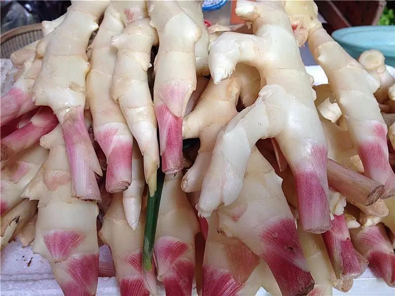 嫩姜，子姜嫩薑、子薑美觀可口。民眾很喜歡品嘗。大家看完此文就不敢再吃了！知道為什么嗎？-七不姜 生姜養生網-明德CSA生態姜園&明安農業