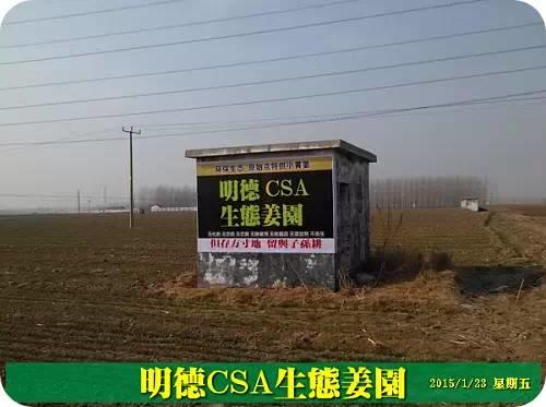 東方圣城 首善之地 至善小黃姜 4月開種活動預報