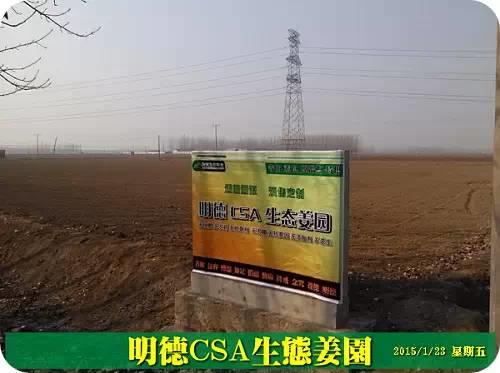 東方圣城 首善之地 至善小黃姜 4月開種活動預報