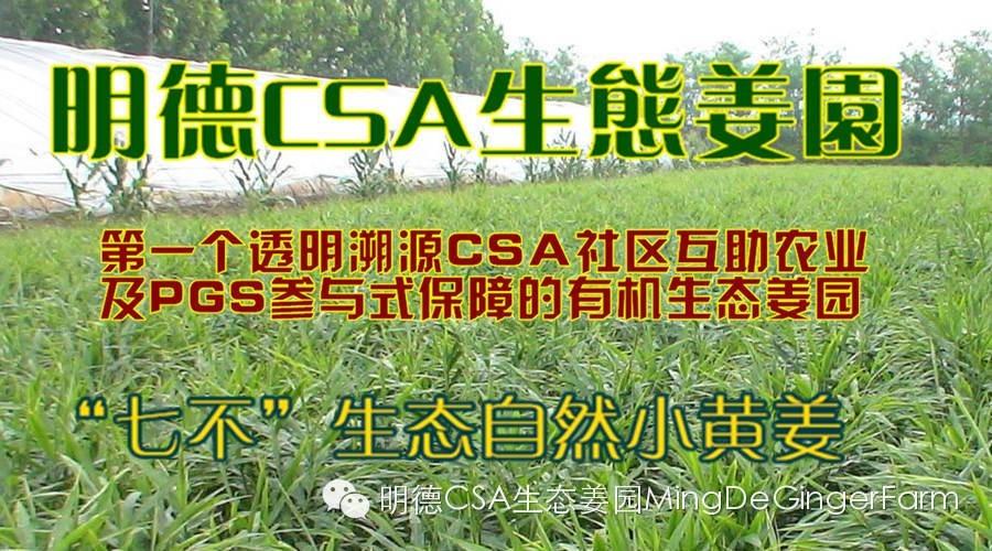 明德生態姜園2015年CSA會員有機生態鮮姜認購份額  （1月版）-七不姜 生姜養生網-明德CSA生態姜園&明安農業