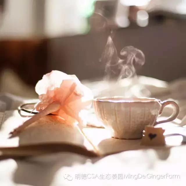 生姜養生法(7)石原式 “生姜紅茶”-自然醫學養生