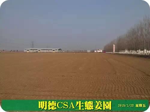 東方圣城 首善之地 至善小黃姜 4月開種活動預報