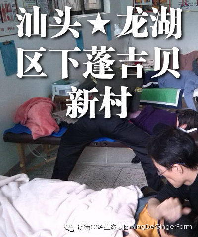 透明溯源CSA及PGS姜園發起股東及創業團隊