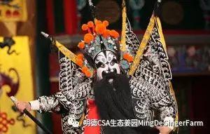 一代梟雄偏愛四川生姜之謎