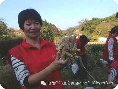 透明溯源CSA及PGS姜園發起股東及創業團隊