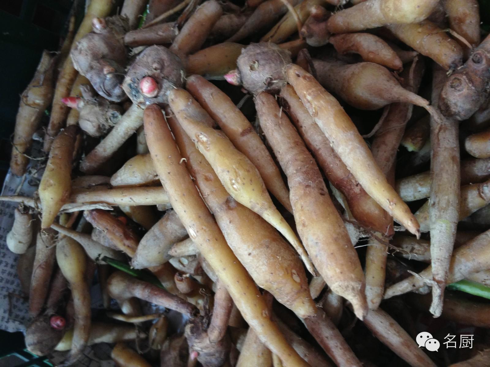 姜中人參——凹唇姜-七不姜 生姜養生網-明德CSA生態姜園&明安農業