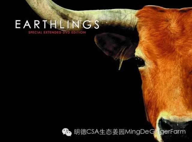 《地球公民 》 Earthlings (2005)-大型公益紀錄片-七不姜 生姜養生網-明德CSA生態姜園&明安農業