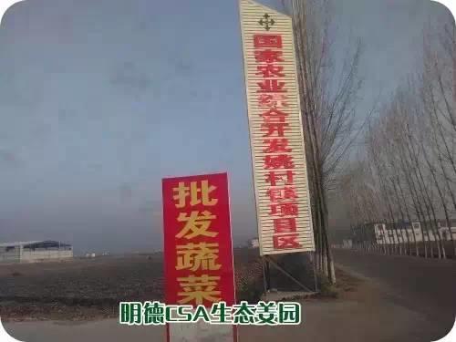 東方圣城 首善之地 至善小黃姜 4月開種活動預報