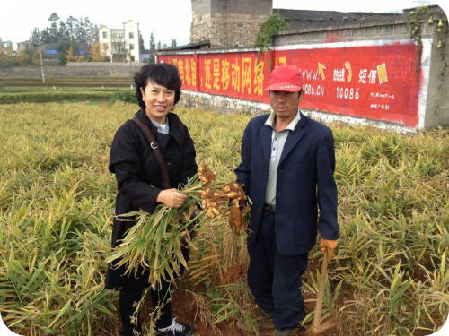 透明溯源CSA及PGS姜園發起股東及創業團隊