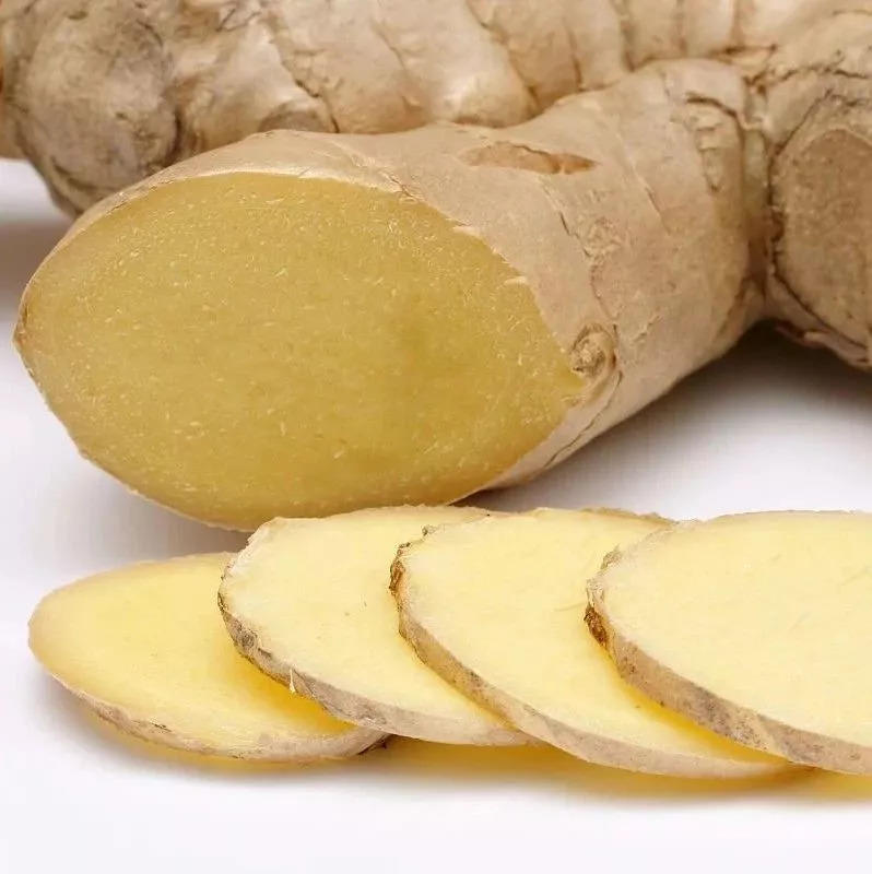 生姜放久了會干癟？賣姜的老板教我一招，這樣保存—年都很新鮮！-七不姜 生姜養生網-明德CSA生態姜園&明安農業