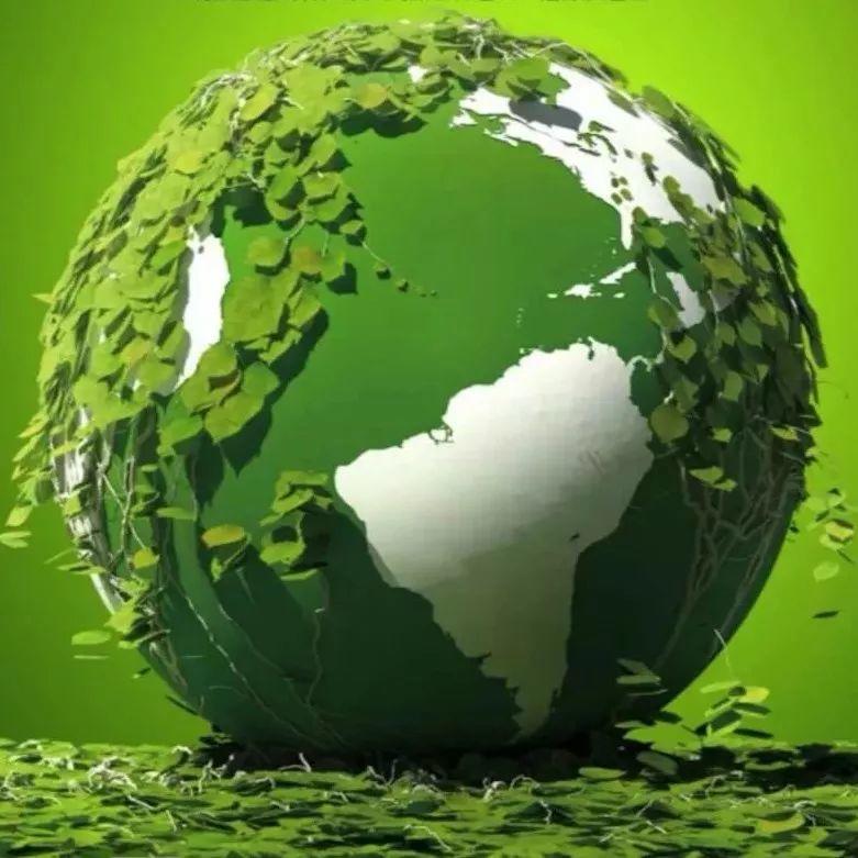 世界蔬醒日！全球111萬人蔬食，一起來！-七不姜 生姜養生網-明德CSA生態姜園&明安農業